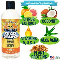 New Refreshing Orange Citrus Dog Shampoo | Coconut and Aloe Vera | All Natural Soothing & Moisturizing Pet Dog Puppy and Cat Wash - Made in USA - 1 Bottle 17oz (503ml)
