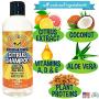 New Refreshing Orange Citrus Dog Shampoo | Coconut and Aloe Vera | All Natural Soothing & Moisturizing Pet Dog Puppy and Cat Wash - Made in USA - 1 Bottle 17oz (503ml)