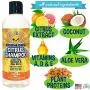 New Refreshing Orange Citrus Dog Shampoo | Coconut and Aloe Vera | All Natural Soothing & Moisturizing Pet Dog Puppy and Cat Wash - Made in USA - 1 Bottle 17oz (503ml) New Refreshing Orange Citrus Dog Shampoo | Coconut and Aloe Vera | All Natural Soothing & Moisturizing Pet Dog Puppy and Cat Wash - Made in USA - 1 Bottle 17oz (503ml)