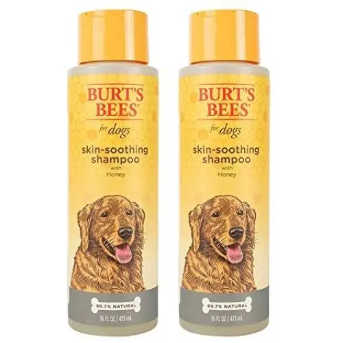 Burts Bees for Dogs Natural Skin Soothing Shampoo with Honey | Puppy and Dog Shampoo, pH Balanced for All Dogs to Boost Shine and Condition Dogs Coat - 16 Ounces Burts Bees for Dogs Natural Skin Soothing Shampoo with Honey | Puppy and Dog Shampoo, pH Balanced for All Dogs to Boost Shine and Condition Dogs Coat - 16 Ounces