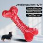 JOYDODY Dog Chew Toys for Aggressive Chewers | Dog Bone Toothbrush Stick for Large Dog Chew Toys & Puppy Dog Toys - Durable Natural Rubber Pet Chews Toy (Beef Flavor)