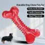 JOYDODY Dog Chew Toys for Aggressive Chewers | Dog Bone Toothbrush Stick for Large Dog Chew Toys & Puppy Dog Toys - Durable Natural Rubber Pet Chews Toy (Beef Flavor) JOYDODY Dog Chew Toys for Aggressive Chewers | Dog Bone Toothbrush Stick for Large Dog Chew Toys & Puppy Dog Toys - Durable Natural Rubber Pet Chews Toy (Beef Flavor)