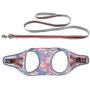 DYAprWu Air-mesh Dog Harness and Leash Set Step-in Vest Harness and Leash Set Escape-Proof Harness and Leash Set for Small Medium Dodgs and Cats DYAprWu Air-mesh Dog Harness and Leash Set Step-in Vest Harness and Leash Set Escape-Proof Harness and Leash Set for Small Medium Dodgs and Cats