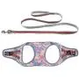 DYAprWu Air-mesh Dog Harness and Leash Set Step-in Vest Harness and Leash Set Escape-Proof Harness and Leash Set for Small Medium Dodgs and Cats