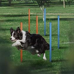 CHEERING PET Dog Agility Equipment, 28 Piece Dog Obstacle Course for Training and Interactive Play Includes Dog Agility Tunnel, Adjustable Hurdles, Poles, Whistle, Rope Toy with Carrying Case