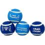 Rite Lite CHEWDAICA TM, Set of 4 Chanukah Tennis Balls Dog Toy, Blue/White, 4 Count Hanukkah