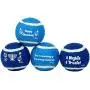 Rite Lite CHEWDAICA TM, Set of 4 Chanukah Tennis Balls Dog Toy, Blue/White, 4 Count Hanukkah Rite Lite CHEWDAICA TM, Set of 4 Chanukah Tennis Balls Dog Toy, Blue/White, 4 Count Hanukkah