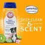 Arm & Hammer for Pets Super Deodorizing Shampoo for Dogs Best Odor Eliminating Dog Shampoo Great for All Dogs & Puppies, Fresh Kiwi Blossom Scent, 6-Pack 20 oz Bottles Arm & Hammer for Pets Super Deodorizing Shampoo for Dogs Best Odor Eliminating Dog Shampoo Great for All Dogs & Puppies, Fresh Kiwi Blossom Scent, 6-Pack 20 oz Bottles