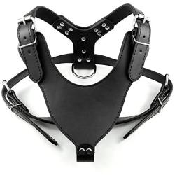 Dogs Kingdom 26''-34'' Soft Leather Dog Harness Large for Pit Bull, Boxer, Bull Terrier