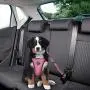 AUTOWT Dog Safety Vest Harness, Pet Car Harness Dog Safety Seatbelt Breathable Mesh Fabric Vest with Adjustable Strap for Travel and Daily Use in Vehicle for Dogs Puppy Cats AUTOWT Dog Safety Vest Harness, Pet Car Harness Dog Safety Seatbelt Breathable Mesh Fabric Vest with Adjustable Strap for Travel and Daily Use in Vehicle for Dogs Puppy Cats