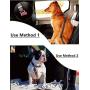 HDCBMCDDM-US Upgraded 3-Layer Car Dog Barrier and Dog Seat Belt, Auto Seat Net Organizer & Adjustable Pet Car Harness with Elastic Nylon Buffer for Small Medium Dogs and Cats