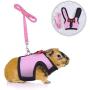 Small Animals Harness and Leash Adjustable Soft Mesh Small Pet Harness with Safe Bell, No Pull Comfort Padded Vest Durable Nylon Harness All Season for Rats,Guinea Pig and Hamster