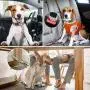 WINSEE 5 in 1 Hands Free Dog Leash Set 4pcs for Walking, Retractable Running Leash/Pet Collar/Poop Bag Holder & Adjustable Waist Belt, Reflective, Dual Padded Handles,for Training, Driving,or Jogging