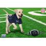 Pets First NCAA Penn State Nittany Lions Football Dog Toy, Tough Quality Nylon Materials, Strong Pull Ropes, Inner Squeaker, Collegiate Team Color