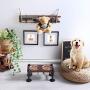 WELLAND Elevated Dog Bowls with 2 Stainless Steel Bowls, Farmhouse Style Dog Raised Bowls for Small or Medium Dogs, Dog Feeder with Solid Wood Board & Black Metal Legs, 15.7”W x 8”D x 6.7”H