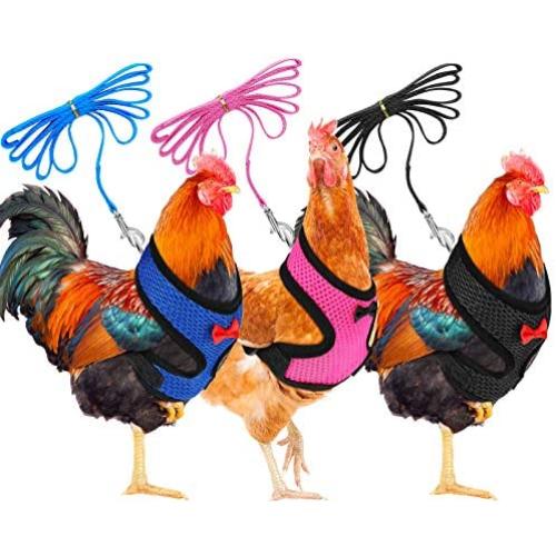 3 Pieces Chicken Harness Breathable Hen Pet Vest with 3.6 Feet Matching Belt Comfortable Chicken Training Harness Small Size for Chicken, Duck or Goose (Blue, Pink, Black)