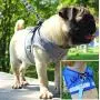 Xiaoyu Reflective Dog Vest Harness Leash Set, Harness Adjustable 3M Reflective Vest Small, Medium, Large Dogs