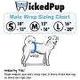 WICKEDPUP Washable Male Dog Wraps (2 Pack) with Disposable Booster Pads (50ct) | Reusable Pet Belly Bands with Doggie Diaper Insert | Cloth Puppy Pee Cover with Incontinence Liner (Blue Jean, Small)
