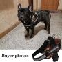 Dog Harness No Pull for Small and Medium Dogs Harness Vest Adjustable Service Camouflage Outdoor Training Harness K9 Outdoor Military Patrol Working Dog Vest Hunting Dog Training Clothes