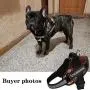 Dog Harness No Pull for Small and Medium Dogs Harness Vest Adjustable Service Camouflage Outdoor Training Harness K9 Outdoor Military Patrol Working Dog Vest Hunting Dog Training Clothes Dog Harness No Pull for Small and Medium Dogs Harness Vest Adjustable Service Camouflage Outdoor Training Harness K9 Outdoor Military Patrol Working Dog Vest Hunting Dog Training Clothes