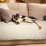 YunNarl Pet Blanket Dog Kennel Pad, Ultra Soft Fleece Dog Crate Pad, Dog Crate Mat, Anti-Skid Bottom Crate Pad, Easy to Clean Dog Blanket, Cushion for Dogs, Cat Blanket (White, Medium (3240''))