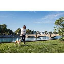 Outward Hound Kyjen Pal Pak Backpack and Harness for Dogs with Poop Bag Holder, Owl