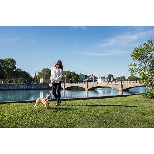 Outward Hound Kyjen Pal Pak Backpack and Harness for Dogs with Poop Bag Holder, Owl