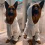 XXL Dog Bathrobe Absorbent Towels - Use This Luxury Dog Pajamas After Your Dog Shower, Tub or Beach - Dog Robe Can Be Used As A Dog Blanket, Sweater or for Dog Gifts - Great Puppy Sweater or Towel