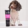 Animology Dog Shampoo Puppy Love Gentle Skin 250ml