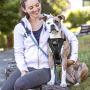 Kurgo Tru-Fit Smart Harness, Dog Harness, Pet Walking Harness, Quick Release Buckles, Front D-Ring for No Pull Training, Includes Dog Seat Belt Tether, For Small, Medium, & Large Dogs.