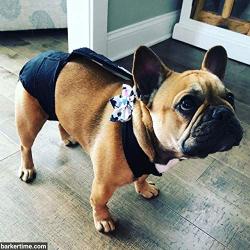Barkertime Premium Waterproof Dog Diaper Overall - Made in USA - Denim Escape-Proof Premium Waterproof Dog Diaper Overall