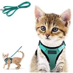 Wisdoman Cat Harness and Leash for Walking, Escape Proof Soft Mesh Adjustable Vest Harnesses for Cats Kitten Dog, Easy Control Breathable Reflective Strips Vest for Small Medium Cats