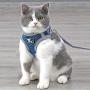 Cat Harness and Leash for Walking, Adjustable Escape Proof Vest with Reflective Strips, Travel Outdoor Jacket Fit for Kitten Puppy Rabbit Dogs by Pet Supplies in Mesh Ferretss Travel Car Seat Belt