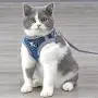 Cat Harness and Leash for Walking, Adjustable Escape Proof Vest with Reflective Strips, Travel Outdoor Jacket Fit for Kitten Puppy Rabbit Dogs by Pet Supplies in Mesh Ferretss Travel Car Seat Belt