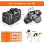 MASKEYON TSA Airline Approved Soft Sided Pet Carrier Top Loading 4 Side Expandable Large Travel Cats Carrier Collapsible with 3 Removable Washable Pads and 3 Pockets for Cats Kitten and Small Dogs MASKEYON TSA Airline Approved Soft Sided Pet Carrier Top Loading 4 Side Expandable Large Travel Cats Carrier Collapsible with 3 Removable Washable Pads and 3 Pockets for Cats Kitten and Small Dogs