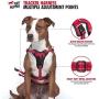 Tracker - No Pull Dog Harness | Front And Back Leash Attachment Points | 3M Reflective Stitching Increases Safety At Night | 5 Point Adjustable Fit Harness For Dogs | Padded Dog Harness For Comfort