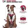 Tracker - No Pull Dog Harness | Front And Back Leash Attachment Points | 3M Reflective Stitching Increases Safety At Night | 5 Point Adjustable Fit Harness For Dogs | Padded Dog Harness For Comfort Tracker - No Pull Dog Harness | Front And Back Leash Attachment Points | 3M Reflective Stitching Increases Safety At Night | 5 Point Adjustable Fit Harness For Dogs | Padded Dog Harness For Comfort