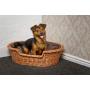 Prestige Wicker Dog Bed Basket with Cushion