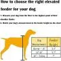 Stainless Steel Raised Pet Bowl wtih Double Dog Cat Food and Water Feeder Dish Retro Iron Elevated Stand Stainless Steel Raised Pet Bowl wtih Double Dog Cat Food and Water Feeder Dish Retro Iron Elevated Stand