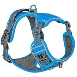 LDLC No Pull No Choke Dog Harness, Scratch-Resistant Oxford Material Pet Vest, Breathable mesh Lining Reflective Strip and Adjustable Vest Pet Harness, Easy to Put on and take Off (M, Blue)