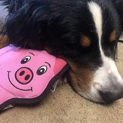 SmartPetLove - Tender-Tuffs Simple - Tough Plush Dog Toy - Easy Grab Pink Pig with Puncture Resistant Squeaker and Super Strong Seams for Big and Small Dogs
