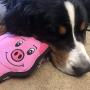 SmartPetLove - Tender-Tuffs Simple - Tough Plush Dog Toy - Easy Grab Pink Pig with Puncture Resistant Squeaker and Super Strong Seams for Big and Small Dogs