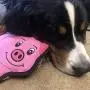 SmartPetLove - Tender-Tuffs Simple - Tough Plush Dog Toy - Easy Grab Pink Pig with Puncture Resistant Squeaker and Super Strong Seams for Big and Small Dogs