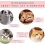 pawstrip Electric Moving Cat Kicker Fish Toy, Realistic Plush Electric Wagging Fish Cat Toy, Wiggle Fish Catnip Chew Toys, Funny Interactive Pets Toy Supplies for Cat Kitten Exercise