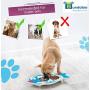 Bundaloo Elevated Cat Bowl Feeder Set - Raised Bowls for Cats & Puppies with Cute Fish Design & Vibrant Colors - 2 x 7 Oz Durable Stainless Steel Bowls for Food and Water – 18.5”x 10.5”x 2.13”