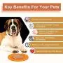 KASBAH Pet Lick Mat, 2 Pack Dog Lick Pad, Boredom Buster Slow Feeder Lick Mat Licking Mat Perfect for Pet Treats Anxious Relief for Fun and Healthy KASBAH Pet Lick Mat, 2 Pack Dog Lick Pad, Boredom Buster Slow Feeder Lick Mat Licking Mat Perfect for Pet Treats Anxious Relief for Fun and Healthy