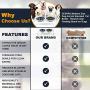 ZEXPRO Medium Size Dog Acrylic Elevated Pet Bowls - Raised Clear Feeding Stand for Dogs - 2 Set of Stainless Steel Food Container 2021 Upgrade Version