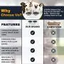 ZEXPRO Medium Size Dog Acrylic Elevated Pet Bowls - Raised Clear Feeding Stand for Dogs - 2 Set of Stainless Steel Food Container 2021 Upgrade Version ZEXPRO Medium Size Dog Acrylic Elevated Pet Bowls - Raised Clear Feeding Stand for Dogs - 2 Set of Stainless Steel Food Container 2021 Upgrade Version