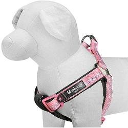 Blueberry Pet Soft & Comfortable 3M Reflective Pastel Colors Padded Dog Harness, 4 Colors, Matching Collar & Leash Available Separately