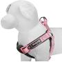 Blueberry Pet Soft & Comfortable 3M Reflective Pastel Colors Padded Dog Harness, 4 Colors, Matching Collar & Leash Available Separately